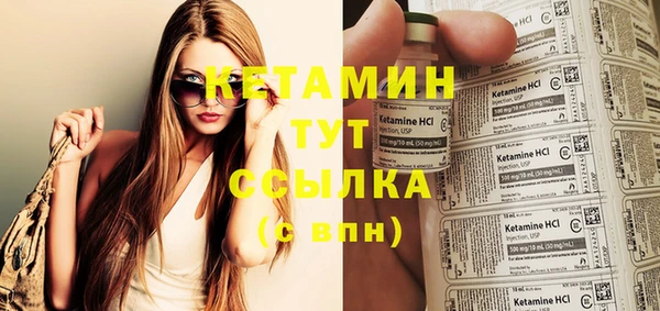 гидра Сясьстрой