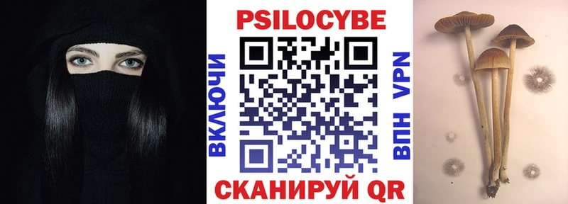 сколько стоит  Кольчугино  Галлюциногенные грибы Psilocybe 